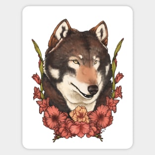 Wolf and gladiolus Sticker